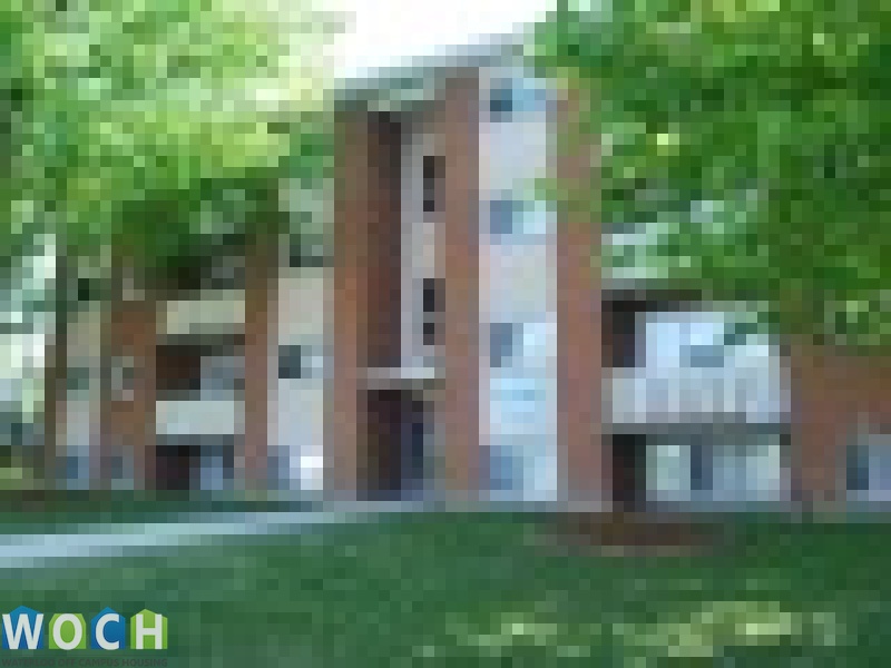 4 Bedrooms Bedrooms, ,1 BathroomBathrooms,Apartment,For Rent,1091