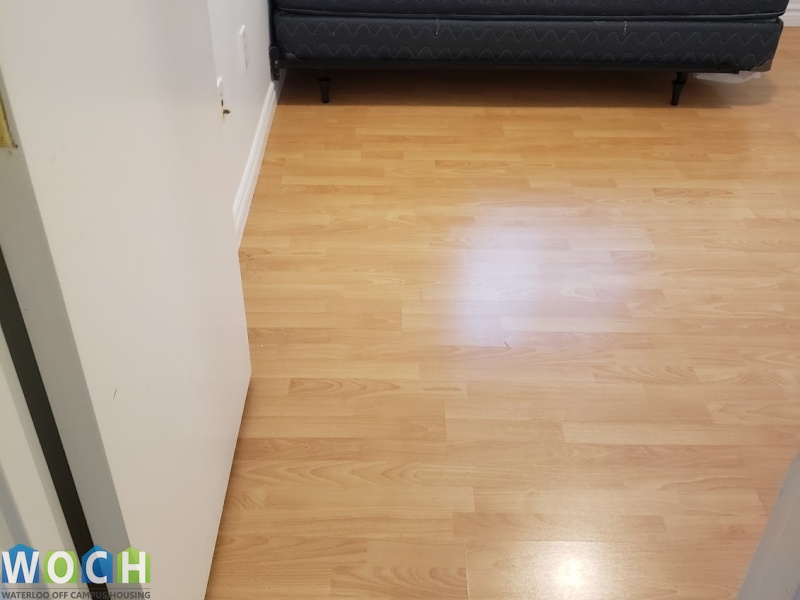 64 University Ave E Ave, Ontario N2J 2V8, 5 Bedrooms Bedrooms, ,2 BathroomsBathrooms,Apartment,For Rent,64 University Ave E,University Ave E,1031