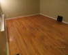 279 State St St, 279 State St, Ontario N2L 3N7, 5 Bedrooms Bedrooms, ,2 BathroomsBathrooms,House,For Rent,State St,1060